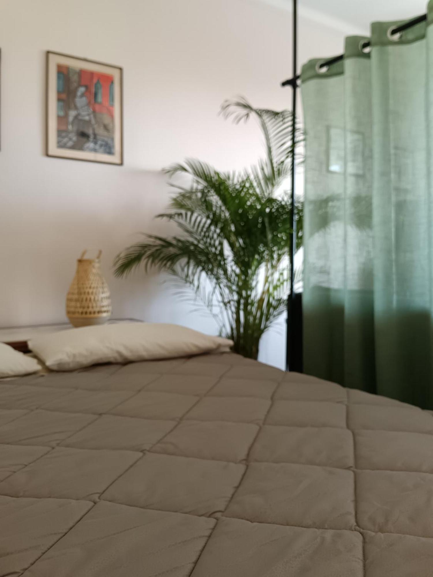 Max And Sea Parking Free Street Apartment Sanremo Exterior foto